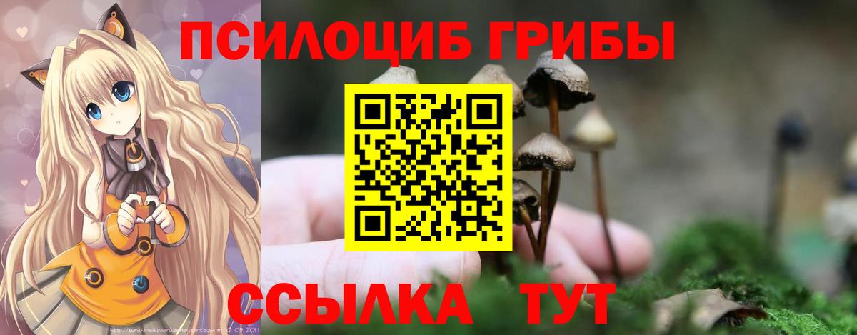 Псилоцибиновые грибы Cubensis Дзержинск